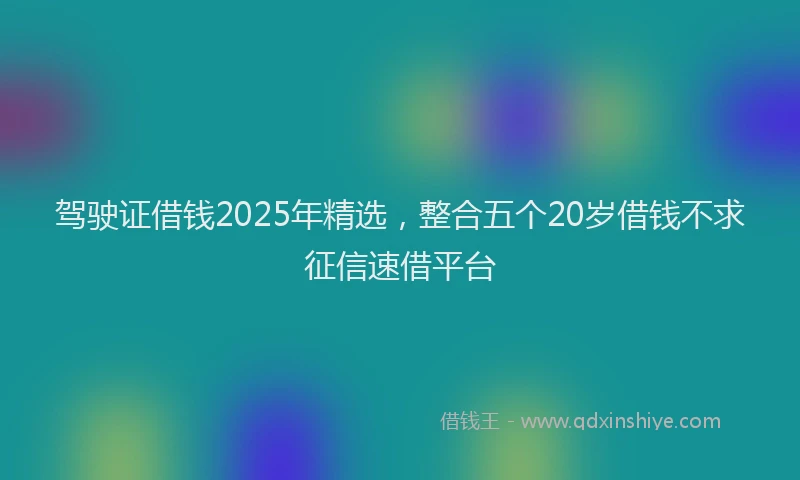 驾驶证借钱2025年精选，整合五个20岁借钱不求征信速借平台
