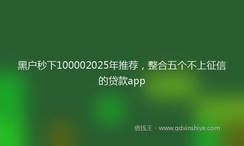 黑户秒下100002025年推荐，整合五个不上征信的贷款app