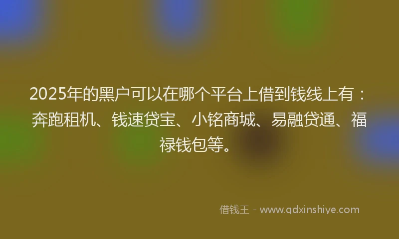 2025年的黑户可以在哪个平台上借到钱线上有：奔跑租机、钱速贷宝、小铭商城、易融贷通、福禄钱包等。