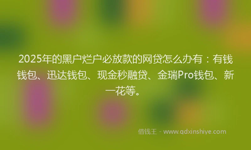 2025年的黑户烂户必放款的网贷怎么办有：有钱钱包、迅达钱包、现金秒融贷、金瑞Pro钱包、新一花等。
