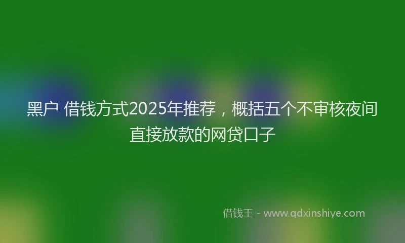 黑户 借钱方式2025年推荐，概括五个不审核夜间直接放款的网贷口子