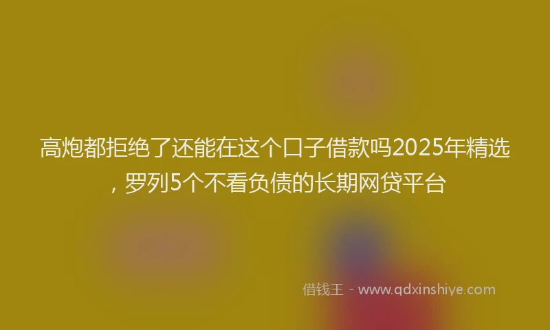 高炮都拒绝了还能在这个口子借款吗2025年精选，罗列5个不看负债的长期网贷平台
