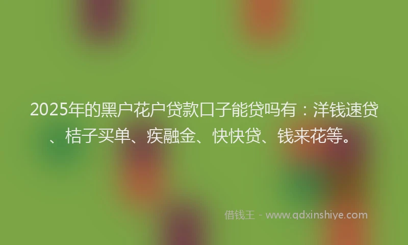 2025年的黑户花户贷款口子能贷吗有：洋钱速贷、桔子买单、疾融金、快快贷、钱来花等。