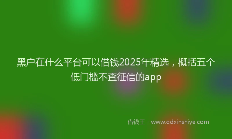 黑户在什么平台可以借钱2025年精选，概括五个低门槛不查征信的app