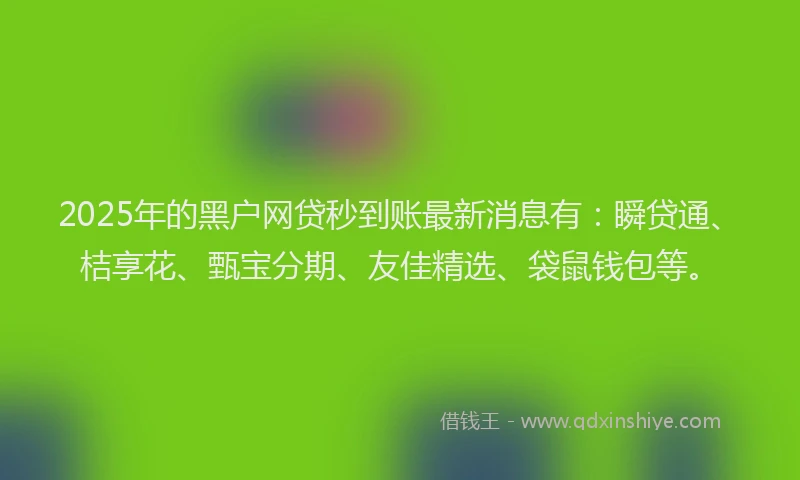 2025年的黑户网贷秒到账最新消息有：瞬贷通、桔享花、甄宝分期、友佳精选、袋鼠钱包等。