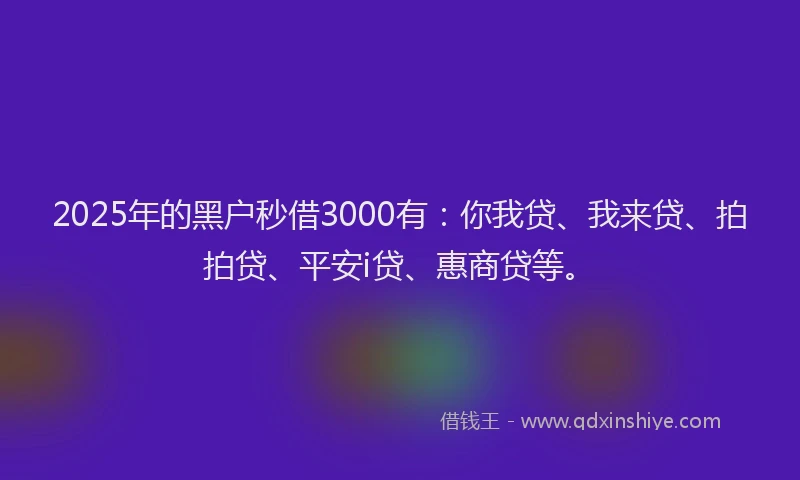 2025年的黑户秒借3000有：你我贷、我来贷、拍拍贷、平安i贷、惠商贷等。
