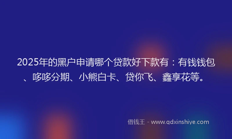 2025年的黑户申请哪个贷款好下款有:有钱钱包、哆哆分期、小熊白卡、贷你飞、鑫享花等。