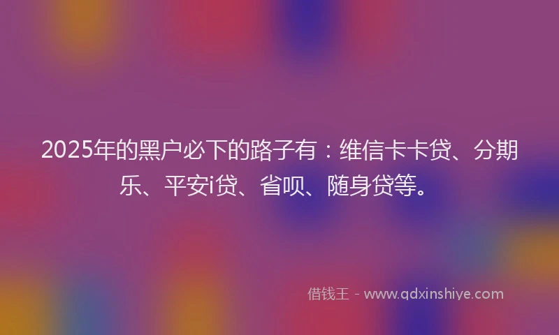 2025年的黑户必下的路子有：维信卡卡贷、分期乐、平安i贷、省呗、随身贷等。