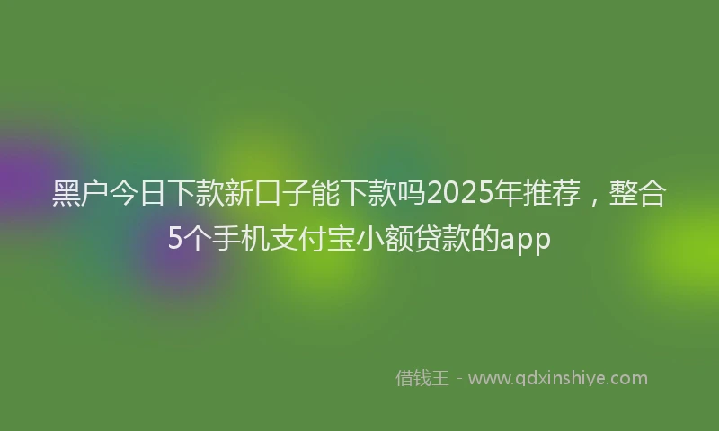 黑户今日下款新口子能下款吗2025年推荐，整合5个手机支付宝小额贷款的app