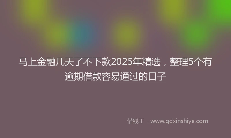 马上金融几天了不下款2025年精选，整理5个有逾期借款容易通过的口子