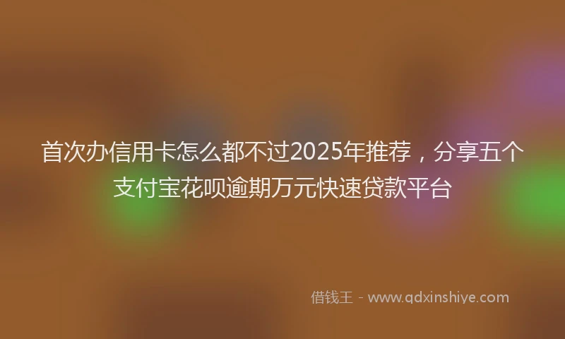 首次办信用卡怎么都不过2025年推荐，分享五个支付宝花呗逾期万元快速贷款平台