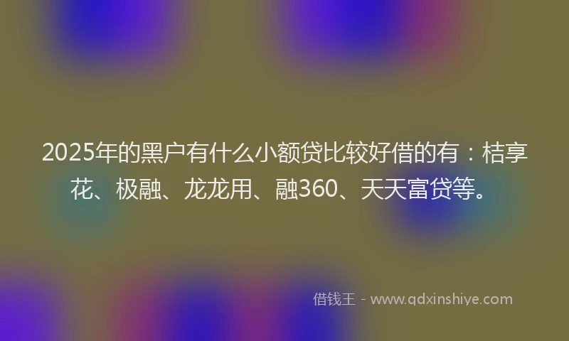 2025年的黑户有什么小额贷比较好借的有：桔享花、极融、龙龙用、融360、天天富贷等。