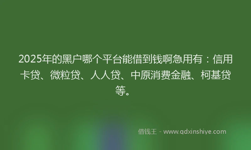 2025年的黑户哪个平台能借到钱啊急用有：信用卡贷、微粒贷、人人贷、中原消费金融、柯基贷等。