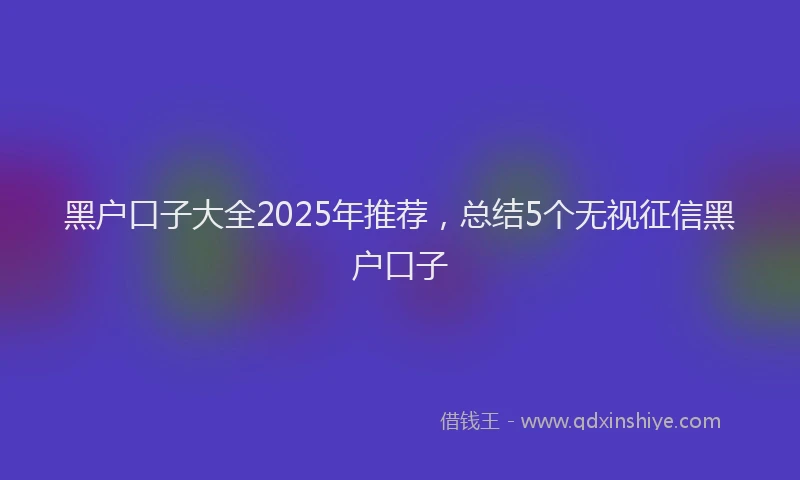 黑户口子大全2025年推荐，总结5个无视征信黑户口子