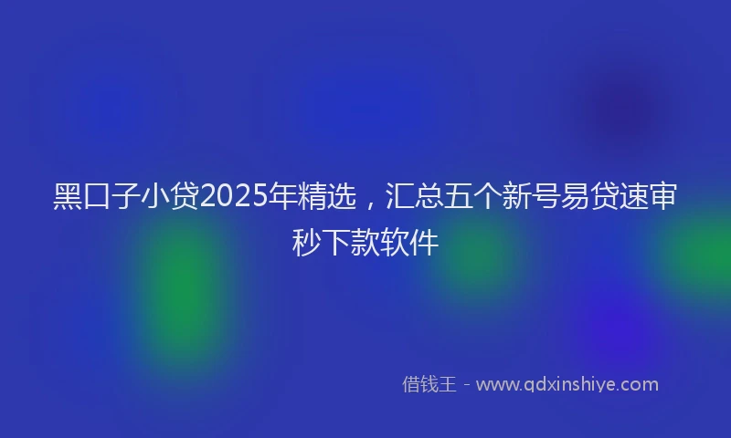 黑口子小贷2025年精选，汇总五个新号易贷速审秒下款软件