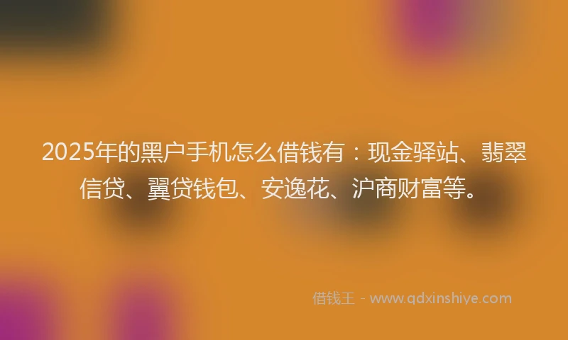 2025年的黑户手机怎么借钱有:现金驿站、翡翠信贷、翼贷钱包、安逸花、沪商财富等。