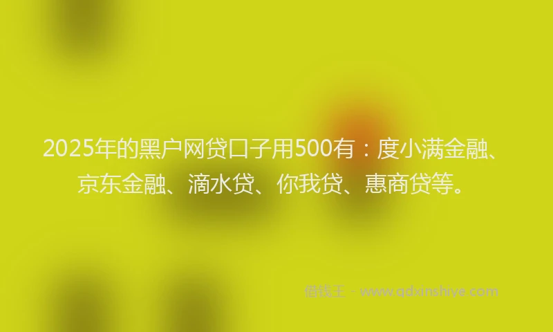 2025年的黑户网贷口子用500有：度小满金融、京东金融、滴水贷、你我贷、惠商贷等。