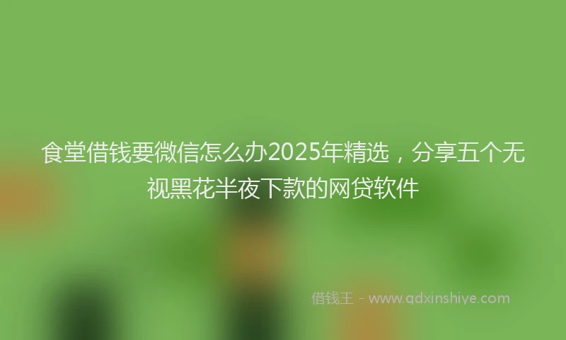 食堂借钱要微信怎么办2025年精选，分享五个无视黑花半夜下款的网贷软件