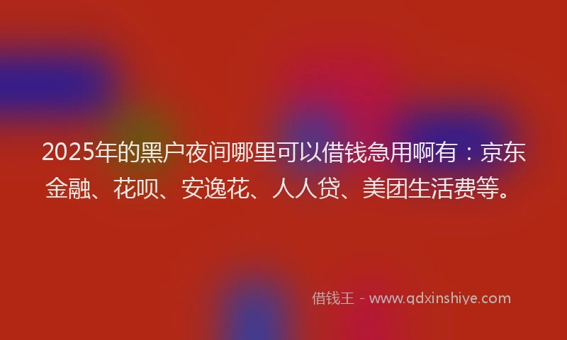 2025年的黑户夜间哪里可以借钱急用啊有：京东金融、花呗、安逸花、人人贷、美团生活费等。