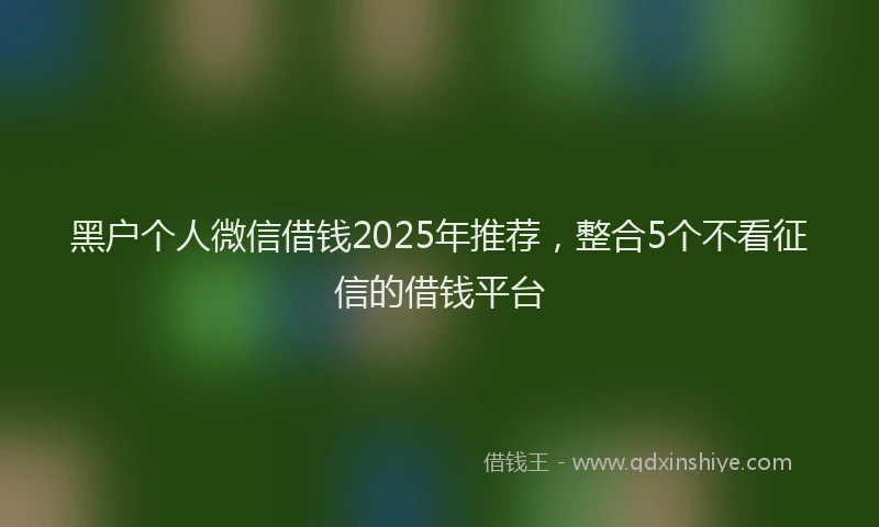 黑户个人微信借钱2025年推荐，整合5个不看征信的借钱平台