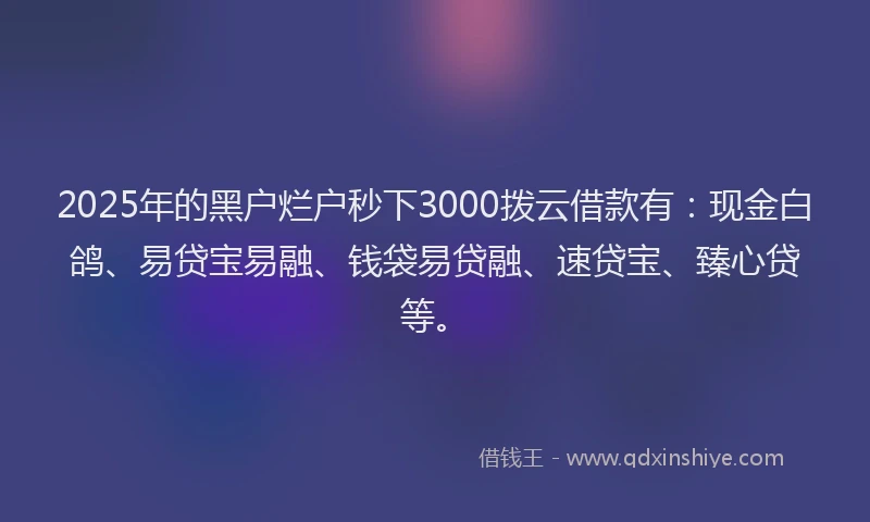 2025年的黑户烂户秒下3000拨云借款有：现金白鸽、易贷宝易融、钱袋易贷融、速贷宝、臻心贷等。