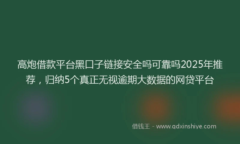 高炮借款平台黑口子链接安全吗可靠吗2025年推荐，归纳5个真正无视逾期大数据的网贷平台