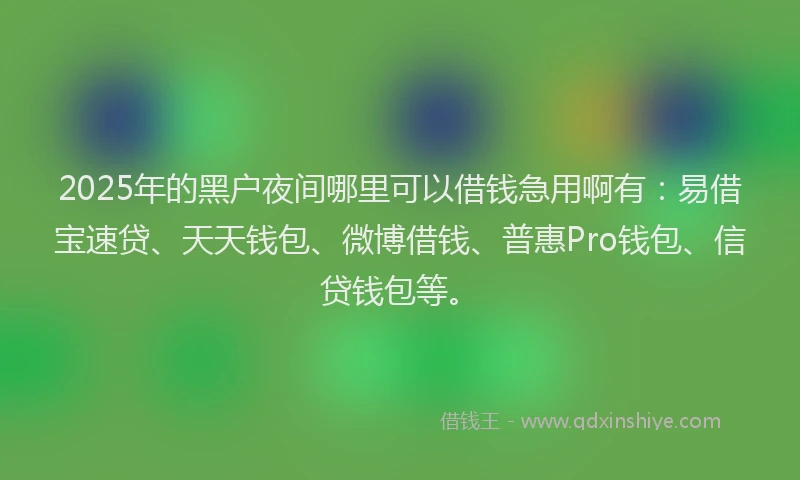 2025年的黑户夜间哪里可以借钱急用啊有：易借宝速贷、天天钱包、微博借钱、普惠Pro钱包、信贷钱包等。