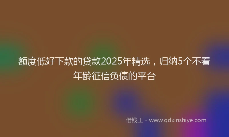 额度低好下款的贷款2025年精选，归纳5个不看年龄征信负债的平台