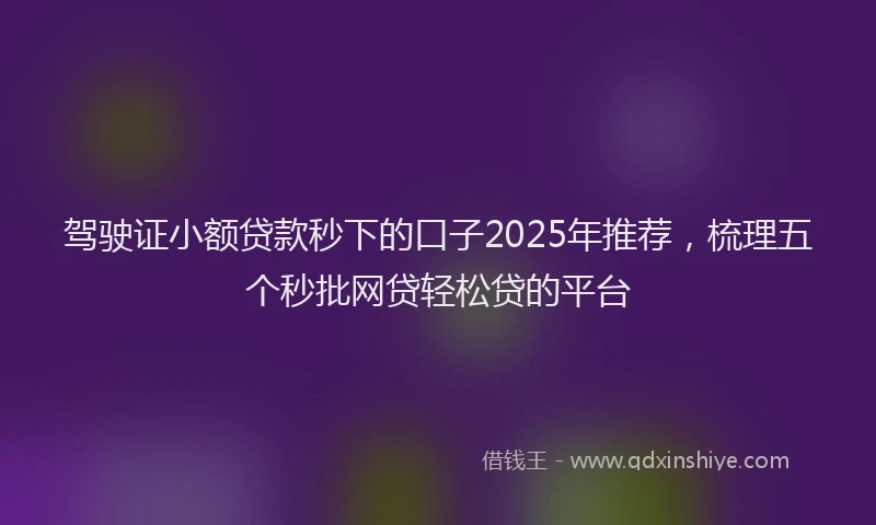 驾驶证小额贷款秒下的口子2025年推荐，梳理五个秒批网贷轻松贷的平台