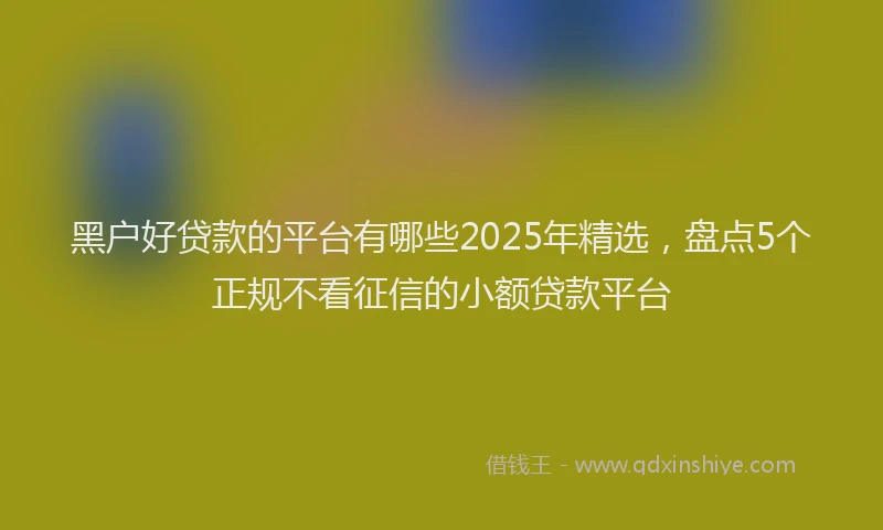 黑户好贷款的平台有哪些2025年精选，盘点5个正规不看征信的小额贷款平台