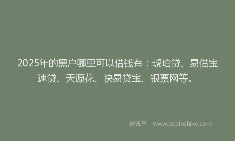 2025年的黑户哪里可以借钱有：琥珀贷、易借宝速贷、天源花、快易贷宝、银票网等。