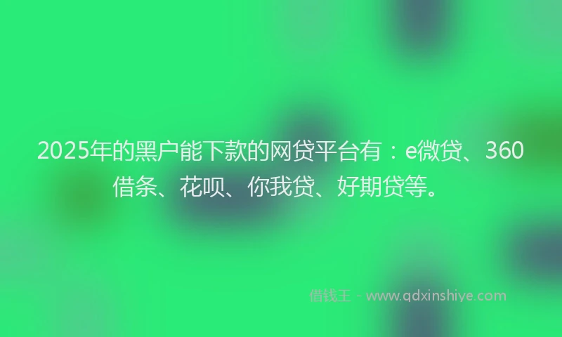 2025年的黑户能下款的网贷平台有：e微贷、360借条、花呗、你我贷、好期贷等。