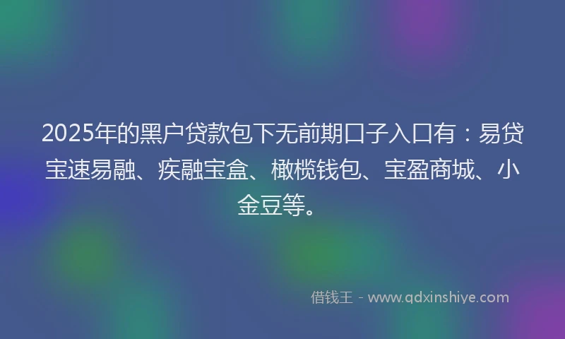 2025年的黑户贷款包下无前期口子入口有：易贷宝速易融、疾融宝盒、橄榄钱包、宝盈商城、小金豆等。