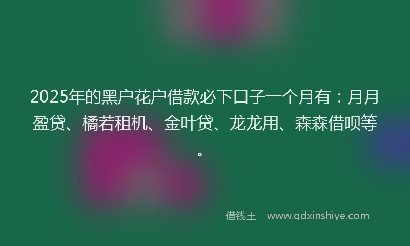 2025年的黑户花户借款必下口子一个月有：月月盈贷、橘若租机、金叶贷、龙龙用、森森借呗等。