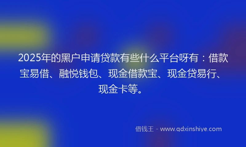 2025年的黑户申请贷款有些什么平台呀有：借款宝易借、融悦钱包、现金借款宝、现金贷易行、现金卡等。