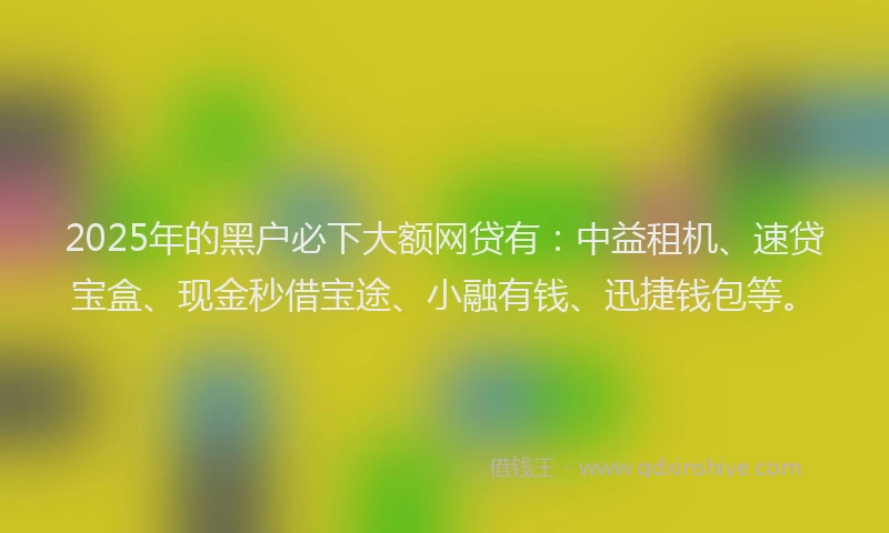 2025年的黑户必下大额网贷有：中益租机、速贷宝盒、现金秒借宝途、小融有钱、迅捷钱包等。