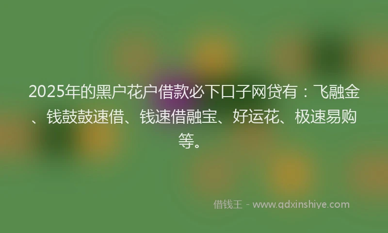 2025年的黑户花户借款必下口子网贷有：飞融金、钱鼓鼓速借、钱速借融宝、好运花、极速易购等。