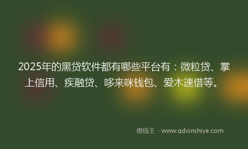 2025年的黑贷软件都有哪些平台有：微粒贷、掌上信用、疾融贷、哆来咪钱包、爱木速借等。