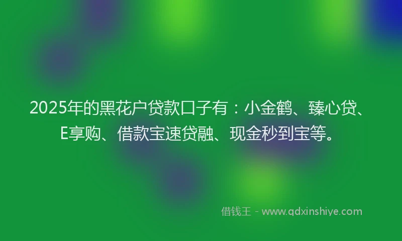 2025年的黑花户贷款口子有：小金鹤、臻心贷、E享购、借款宝速贷融、现金秒到宝等。
