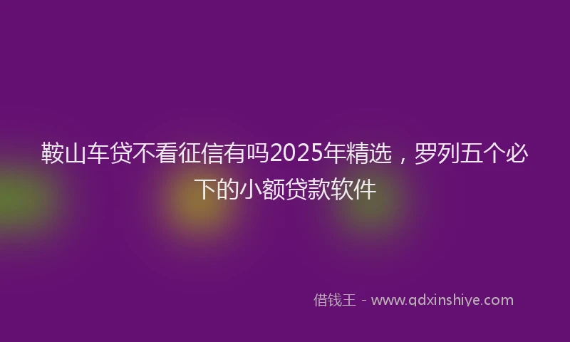 鞍山车贷不看征信有吗2025年精选，罗列五个必下的小额贷款软件
