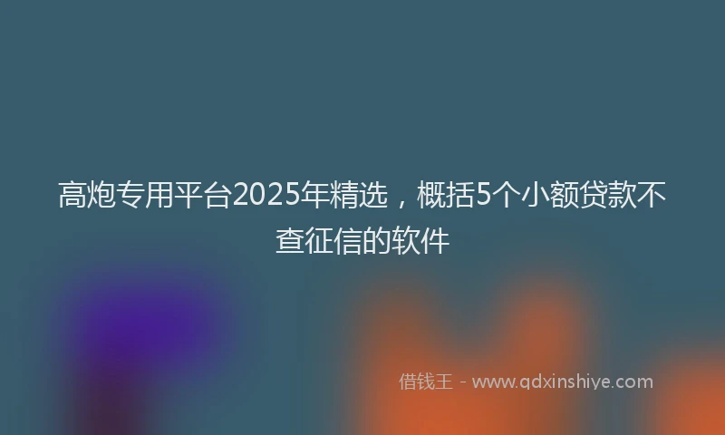 高炮专用平台2025年精选，概括5个小额贷款不查征信的软件
