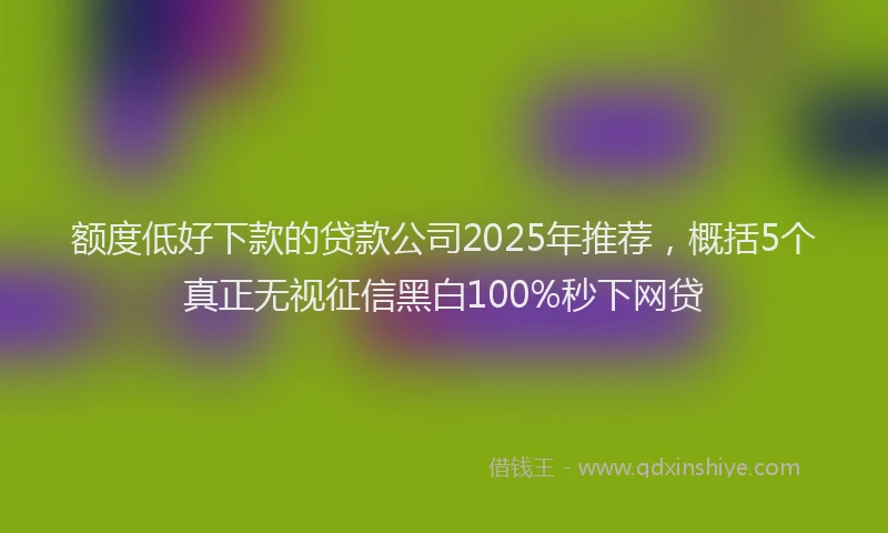 额度低好下款的贷款公司2025年推荐，概括5个真正无视征信黑白100%秒下网贷
