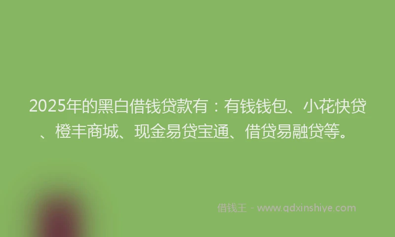 2025年的黑白借钱贷款有：有钱钱包、小花快贷、橙丰商城、现金易贷宝通、借贷易融贷等。