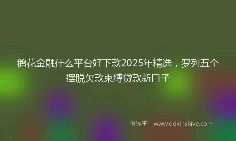 鹅花金融什么平台好下款2025年精选，罗列五个摆脱欠款束缚贷款新口子