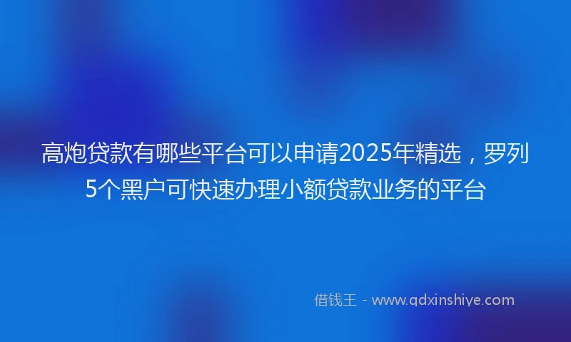 高炮贷款有哪些平台可以申请2025年精选，罗列5个黑户可快速办理小额贷款业务的平台
