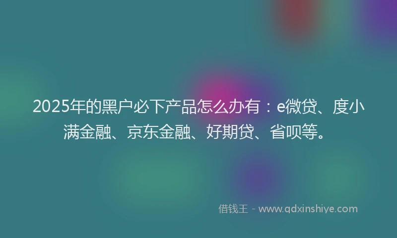 2025年的黑户必下产品怎么办有：e微贷、度小满金融、京东金融、好期贷、省呗等。