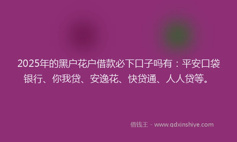 2025年的黑户花户借款必下口子吗有：平安口袋银行、你我贷、安逸花、快贷通、人人贷等。