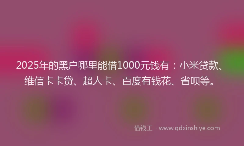 2025年的黑户哪里能借1000元钱有：小米贷款、维信卡卡贷、超人卡、百度有钱花、省呗等。