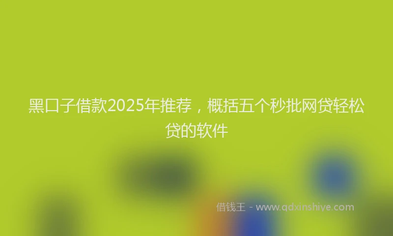 黑口子借款2025年推荐，概括五个秒批网贷轻松贷的软件