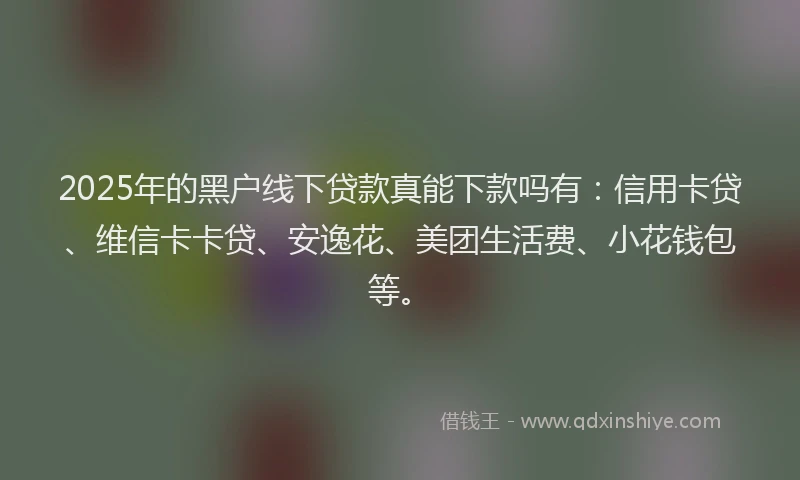 2025年的黑户线下贷款真能下款吗有:信用卡贷、维信卡卡贷、安逸花、美团生活费、小花钱包等。